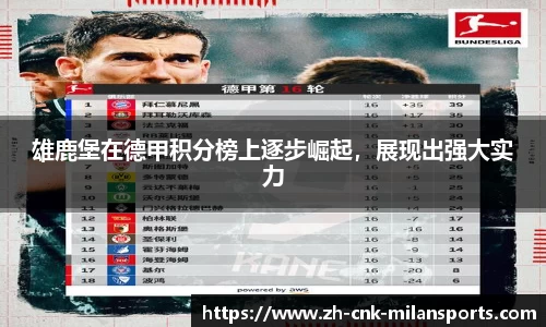 雄鹿堡在德甲积分榜上逐步崛起，展现出强大实力